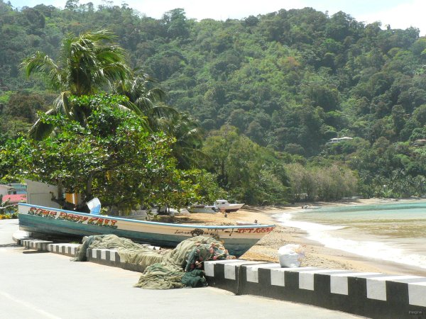 16- Le rivage de Charlotteville 